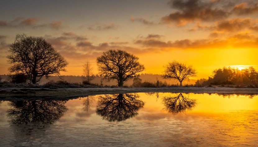 Mogshade Pond by Tim Rosier 